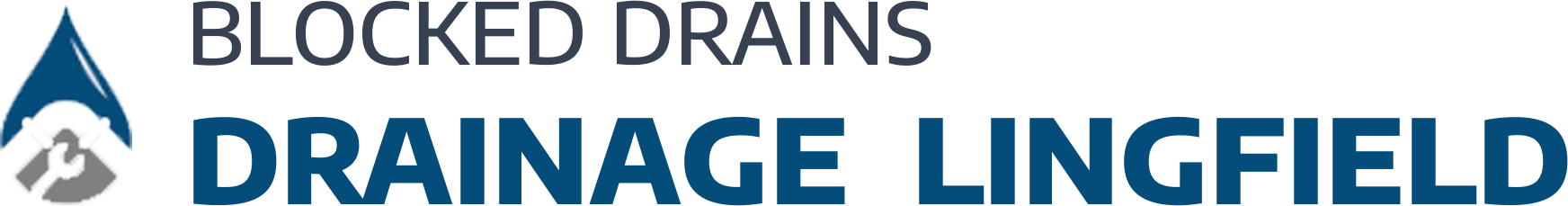 website logo